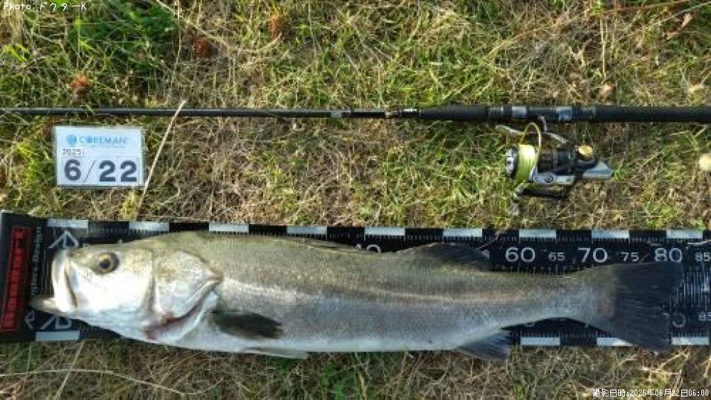 �����Х�