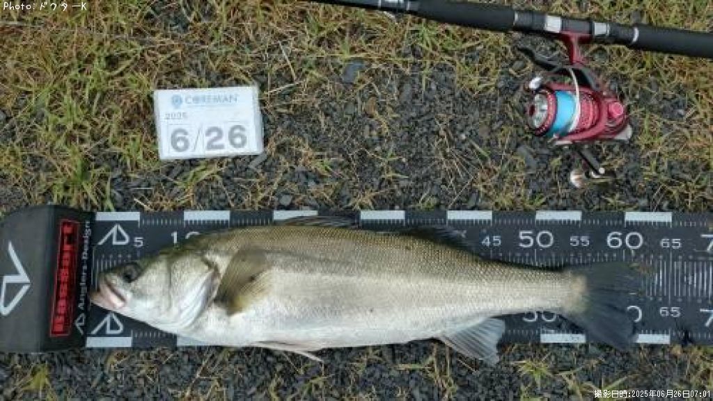 �����Х�