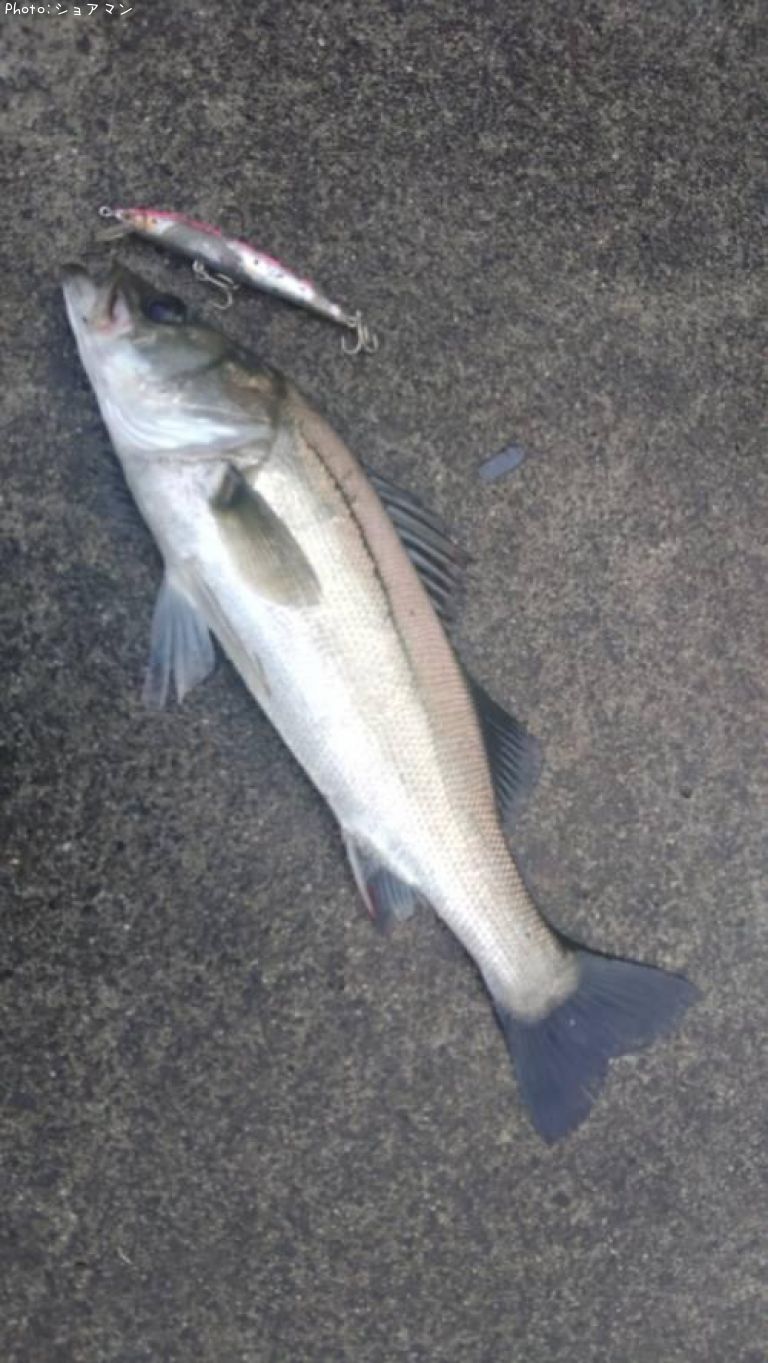 �����Х�