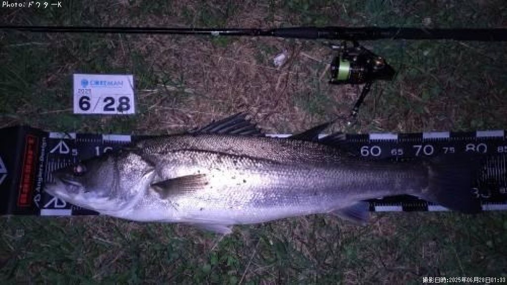 �����Х�