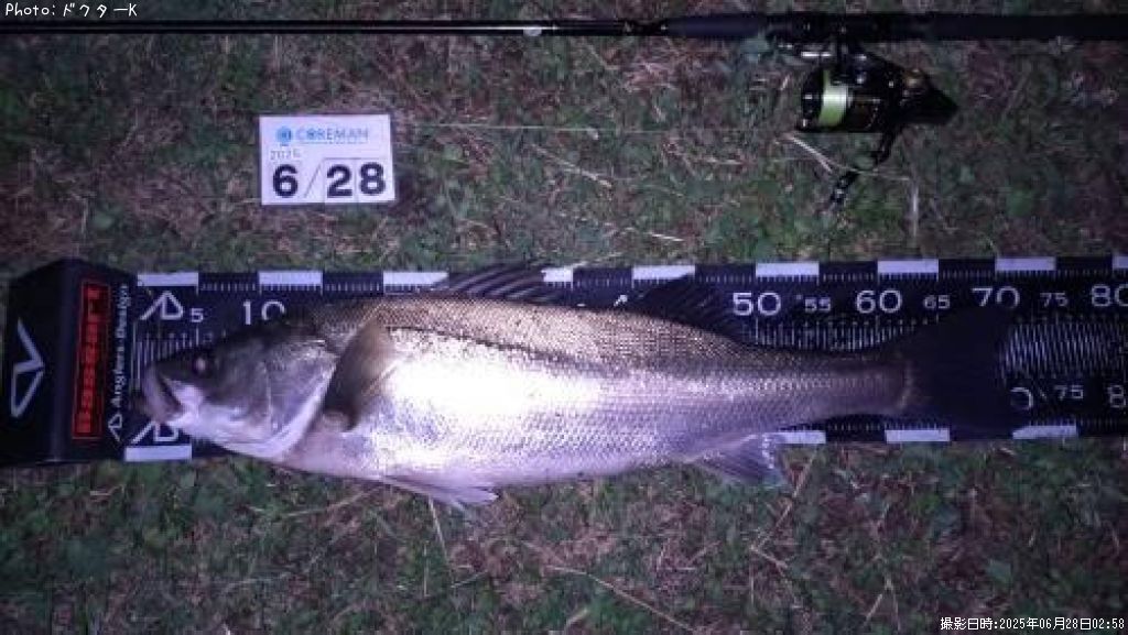 �����Х�