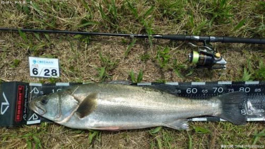 �����Х�