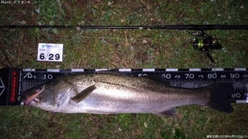 �����Х�