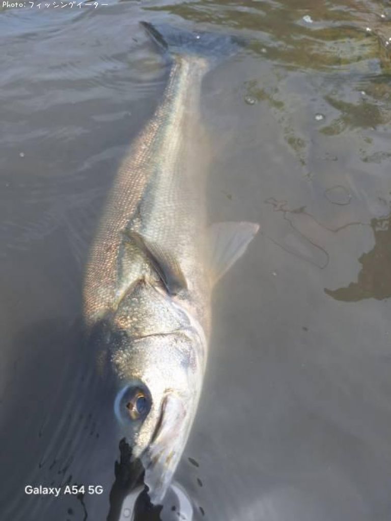 �����Х�