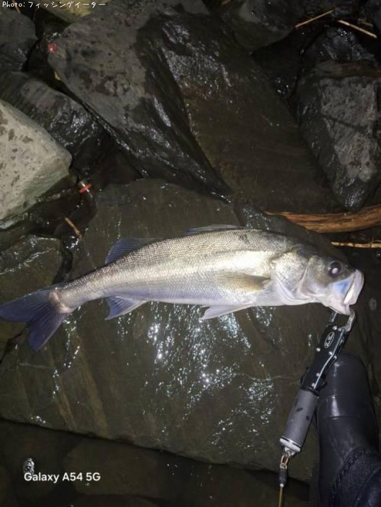 �����Х�