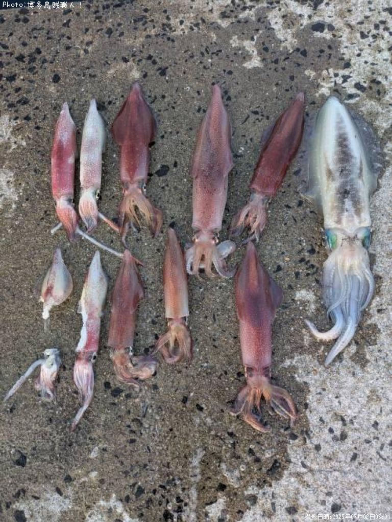 ���󥵥�����