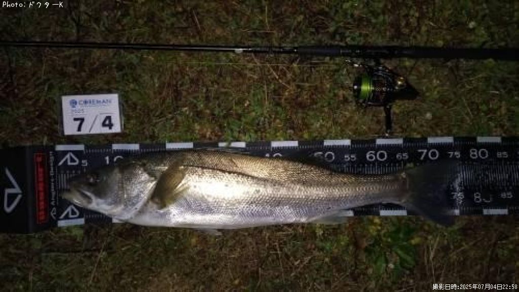 �����Х�