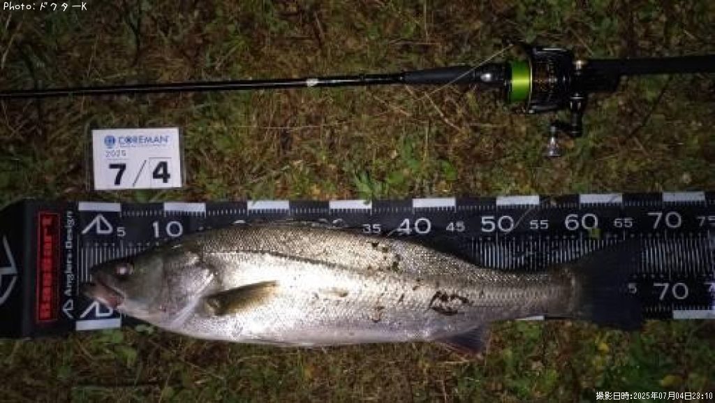 �����Х�