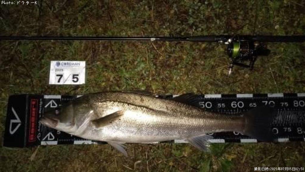 �����Х�