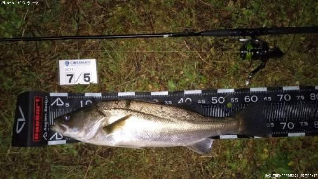 �����Х�