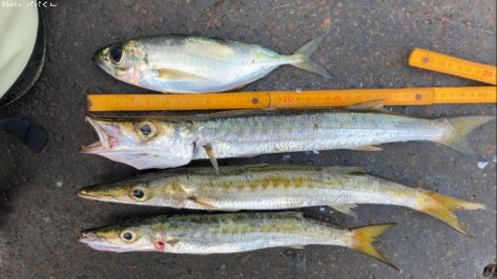 ������󥫥ޥ�