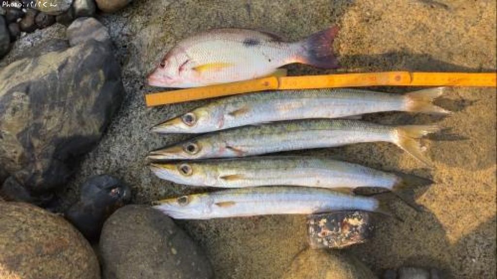 �����ۥ��ե�����