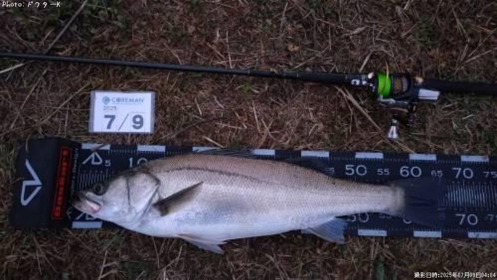 �����Х�