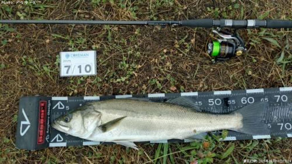 �����Х�