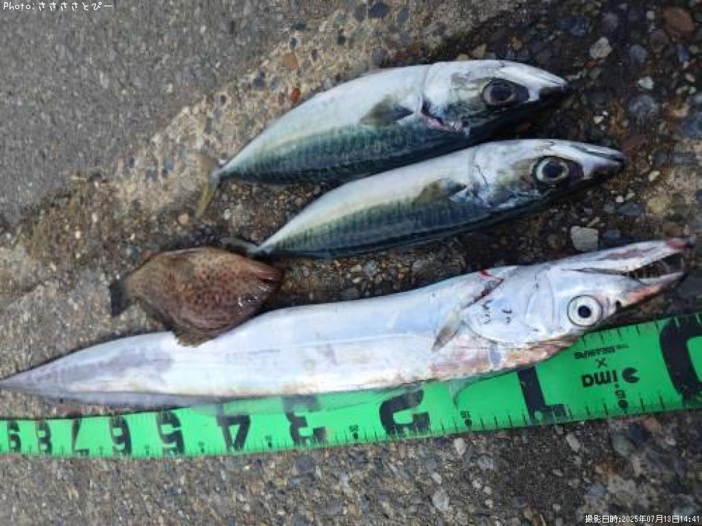 ����������С��������ϥ�