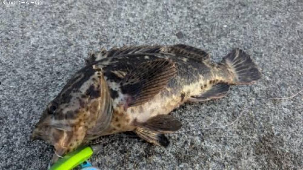 �����Υ���Х�