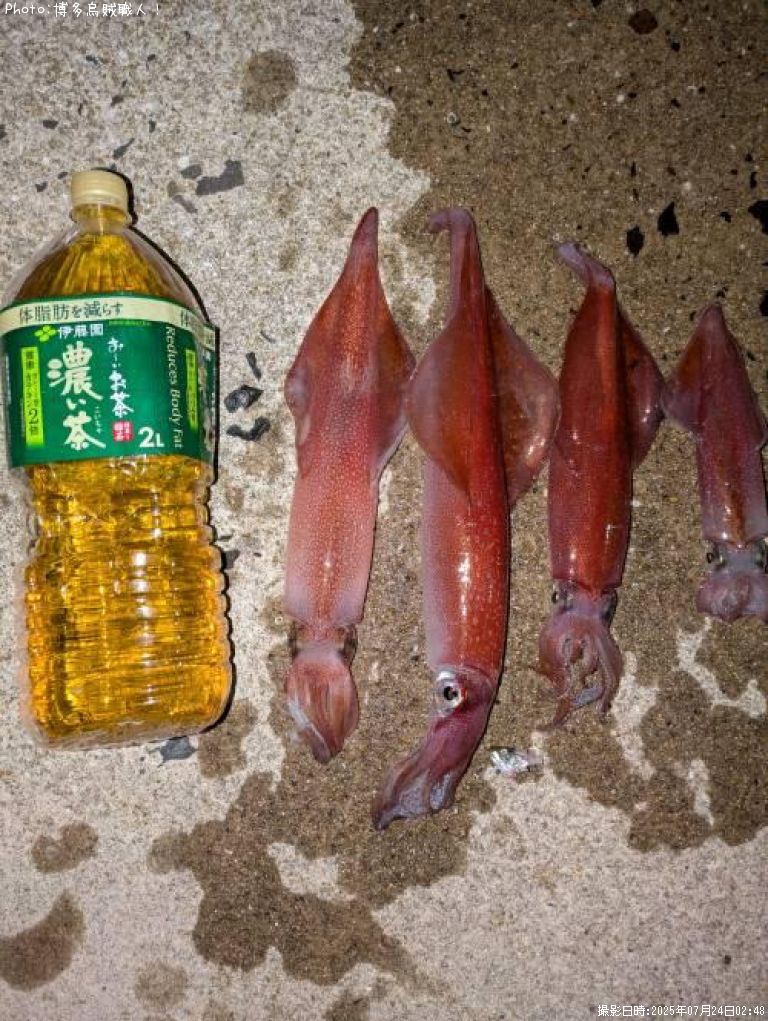 ���󥵥�����