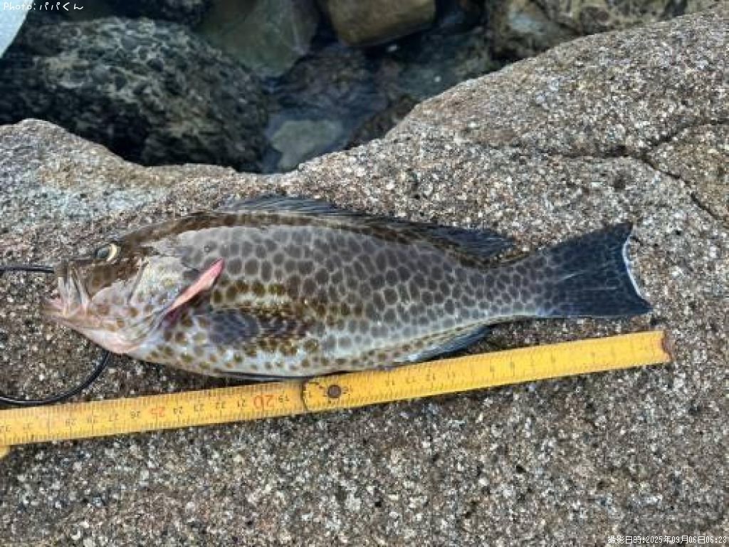 �������ϥ�