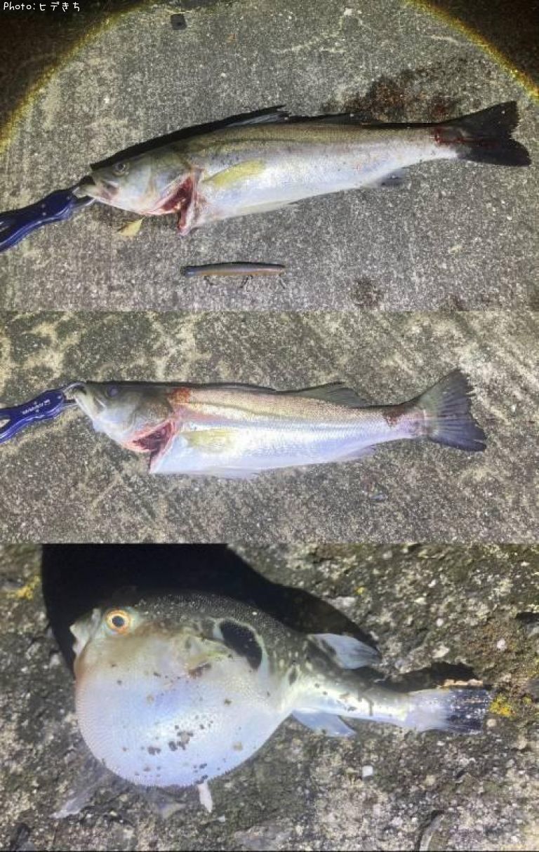 �����Х�