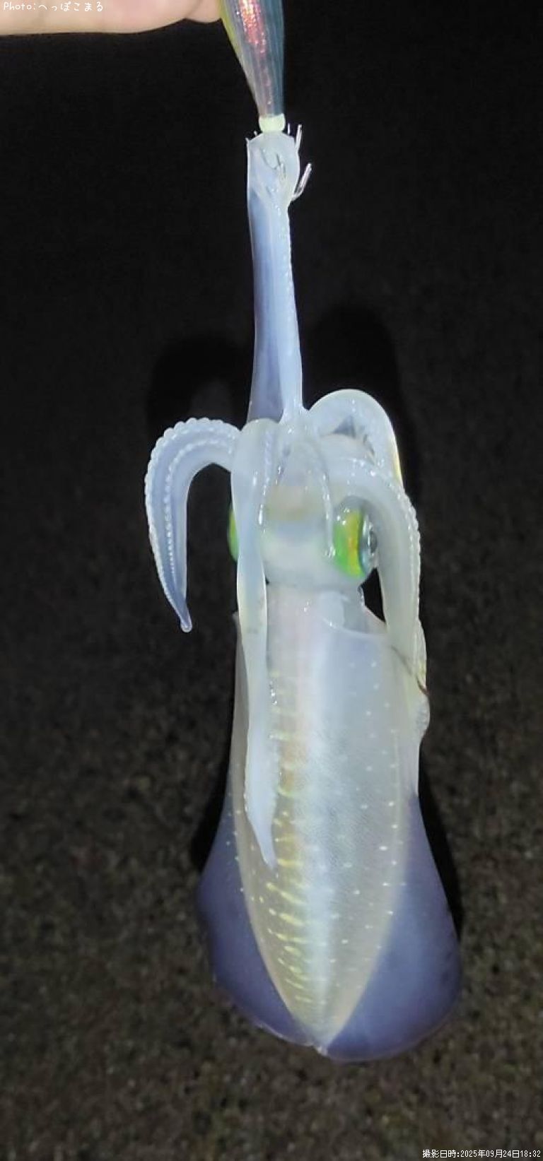 �����ꥤ��