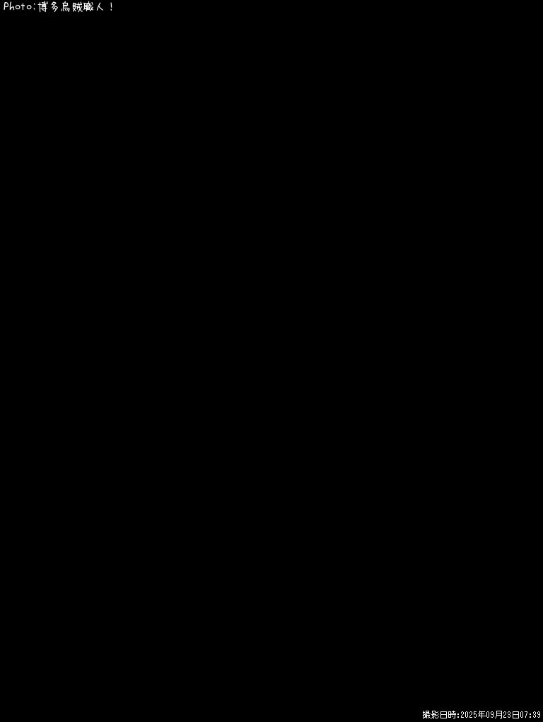 �ͥꥴ�ʥ���ѥ���