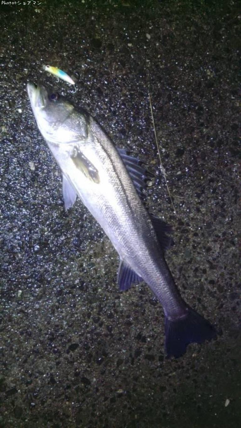 �����Х�