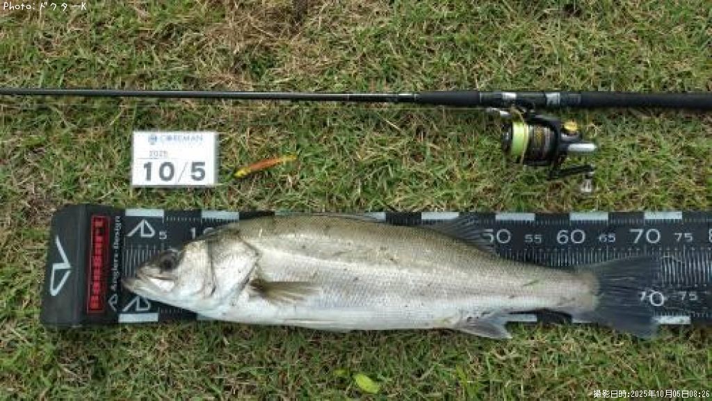 �����Х�