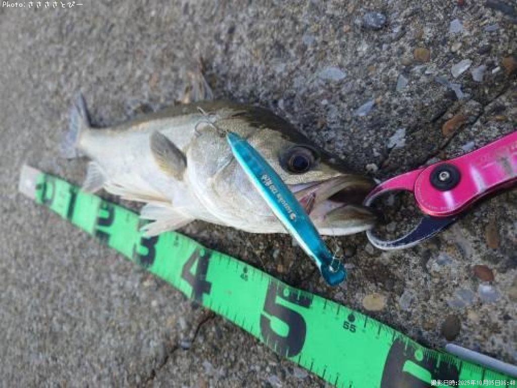 �����Х������������Υ���������