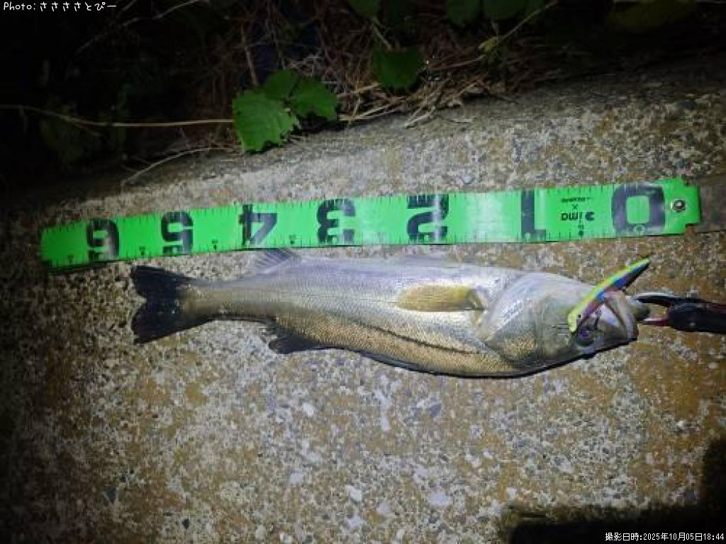 �����Х�