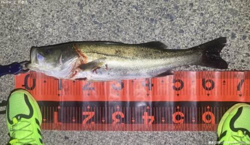 �����Х�