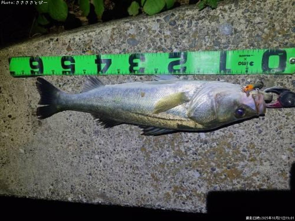 �����Х�