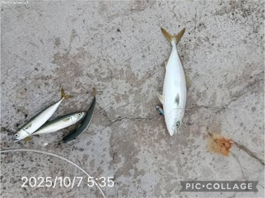 ���ʥ��ȥ���