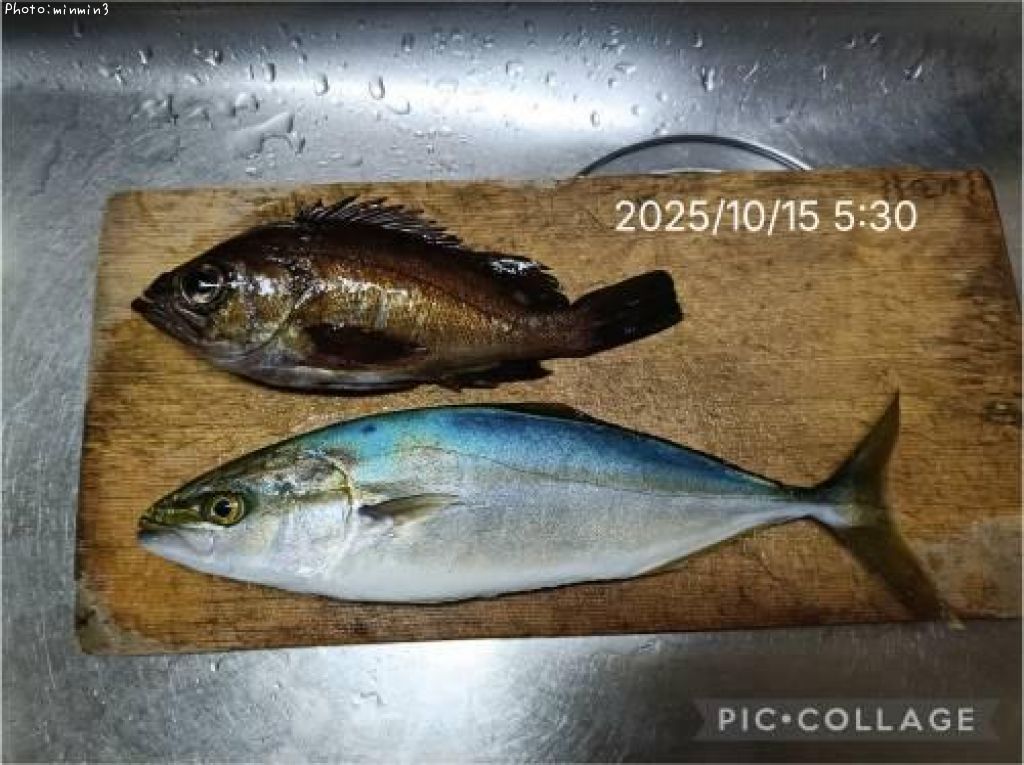 �參���ȥ�Х�