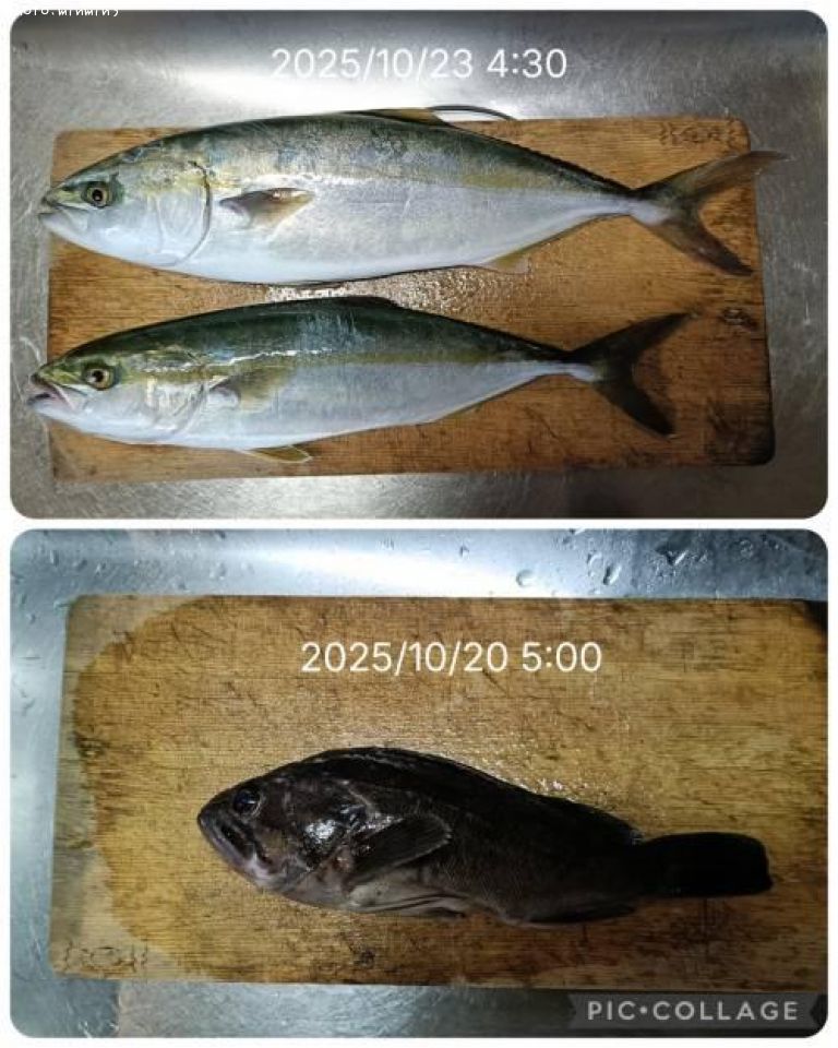 ���ʥ��ȥ���