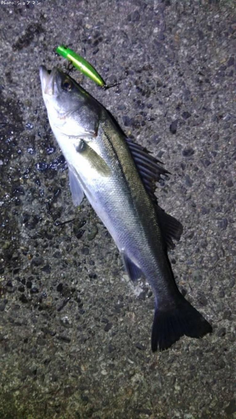 �����Х�