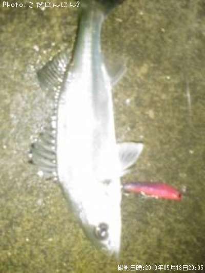 �����Х�