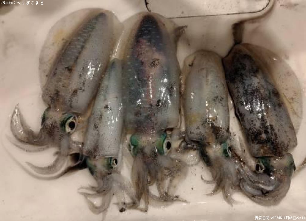 �����ꥤ��