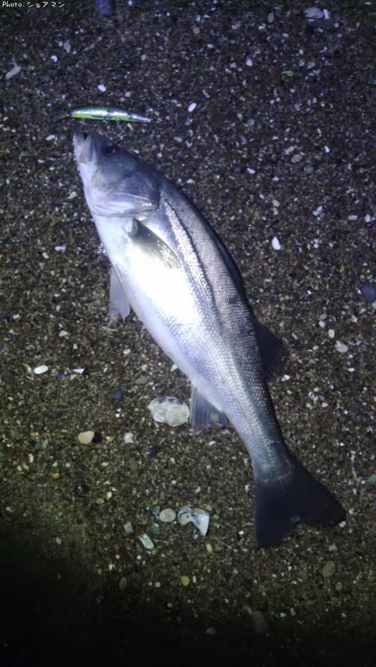 �����Х�