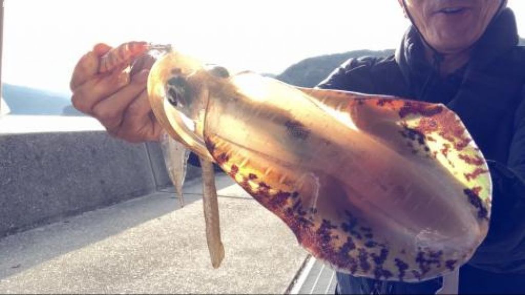 �����ꥤ��