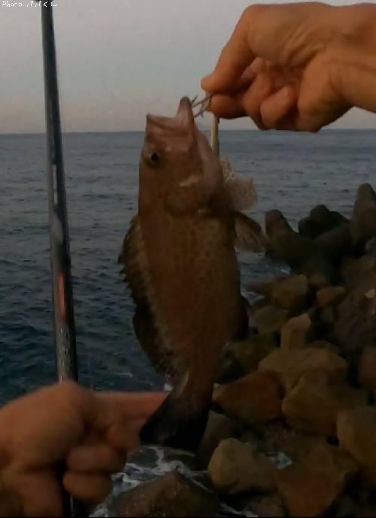 �������ϥ�