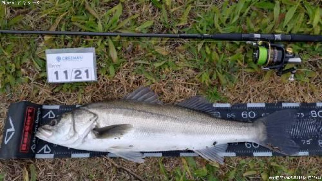 �����Х�