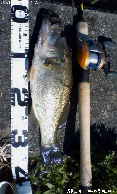 �֥�å��Х�