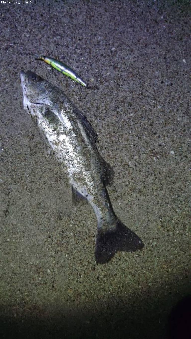 �����Х�