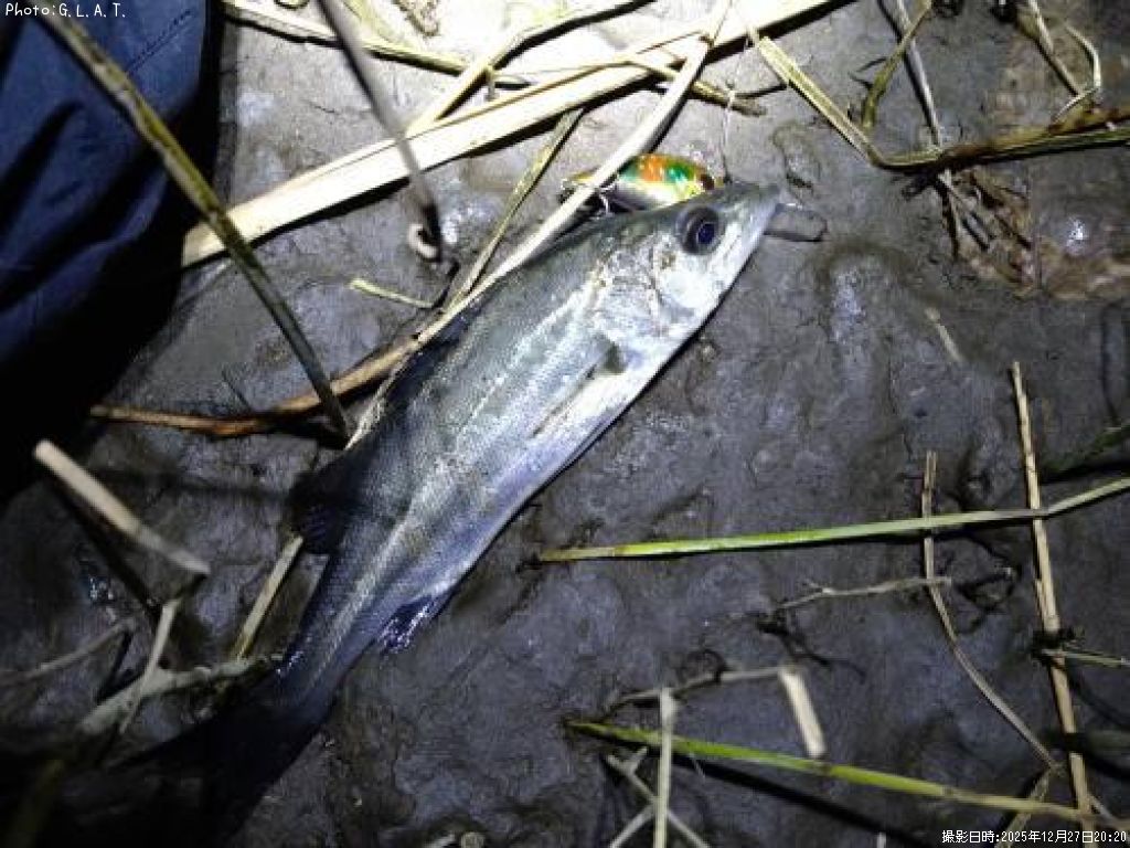 �����Х�