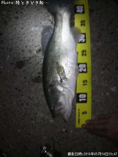 �֥�å��Х�