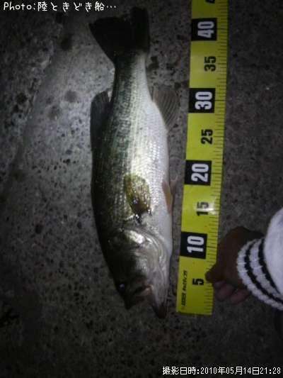 �֥�å��Х�