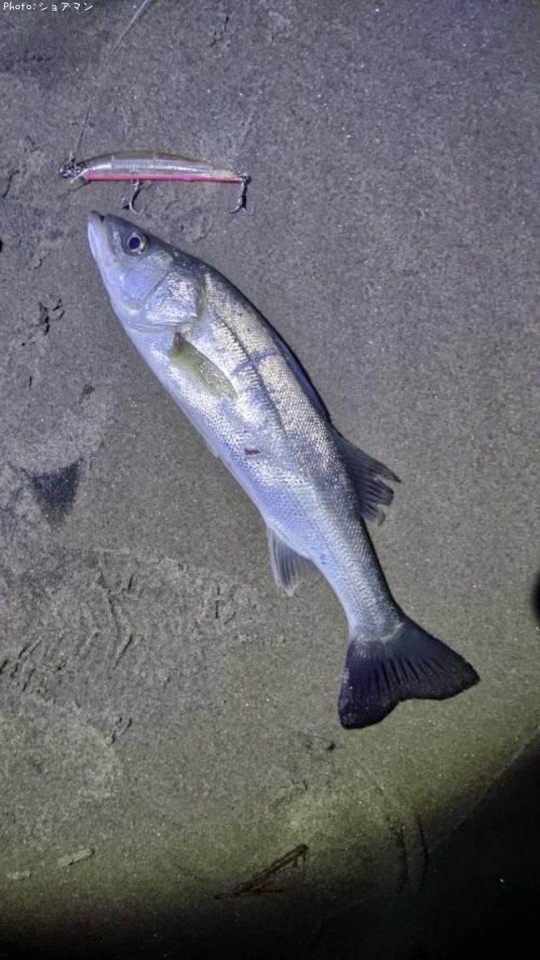 �����Х�