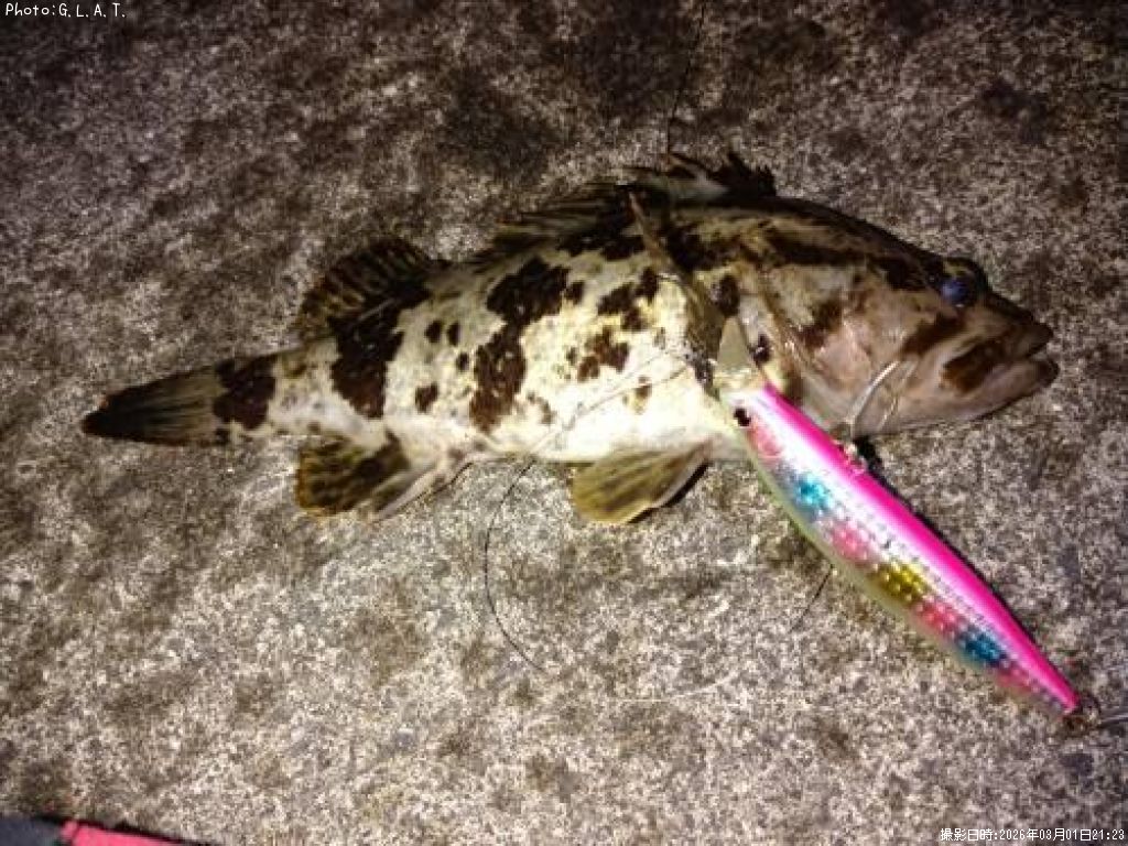 �����Υ���Х�