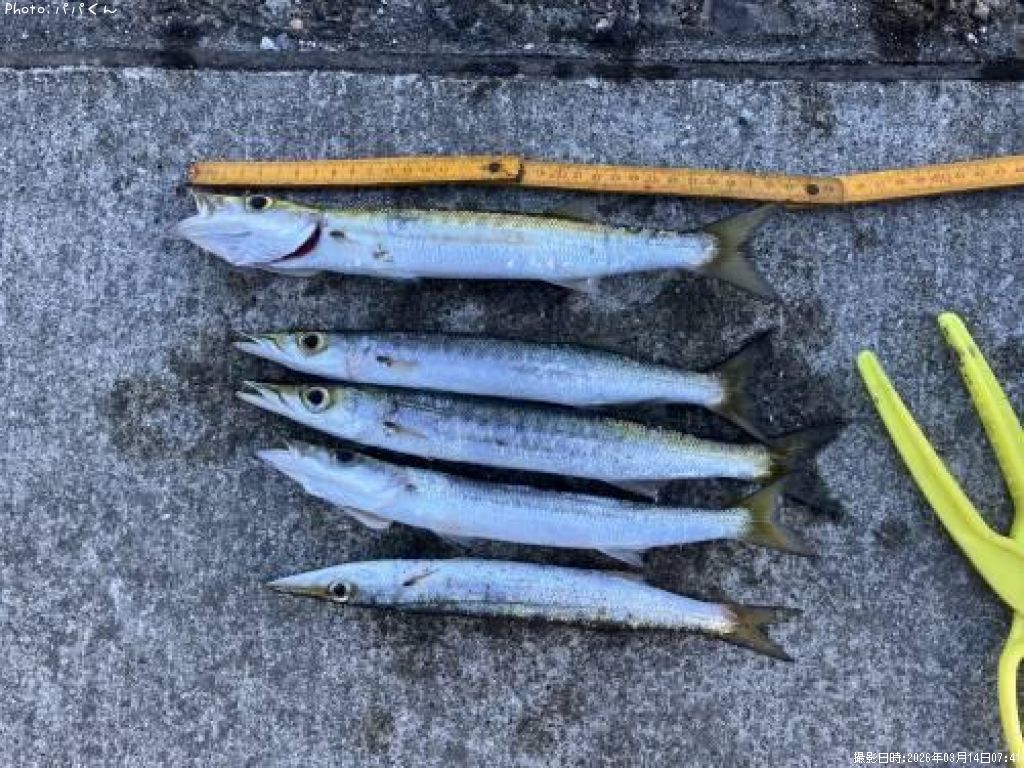 ������󥫥ޥ�