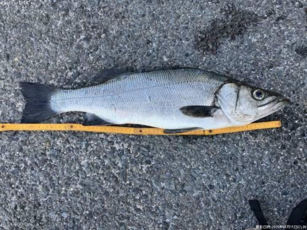 �ҥ饹����